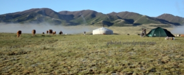 mongoliafotog15
