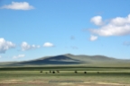 mongoliafotog17